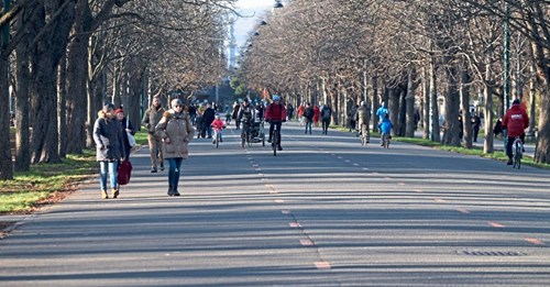 Read more about the article Polizei darf nicht zum Sündenbock werden